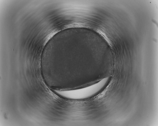 X0000094961081200712271714