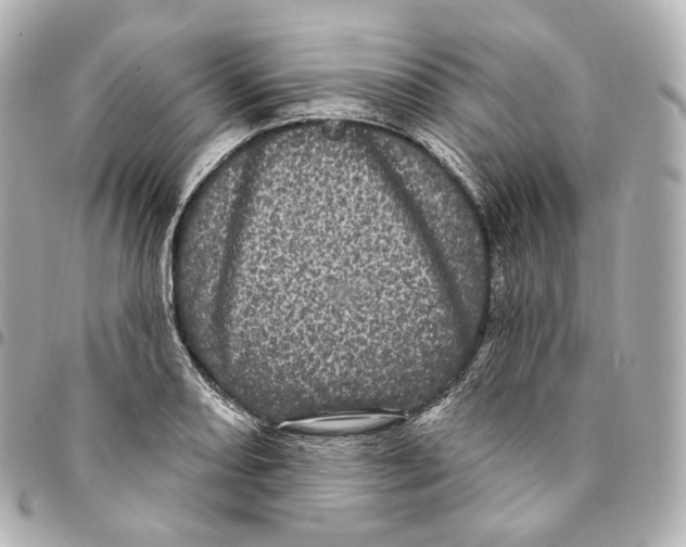 X0000094961082200712271714