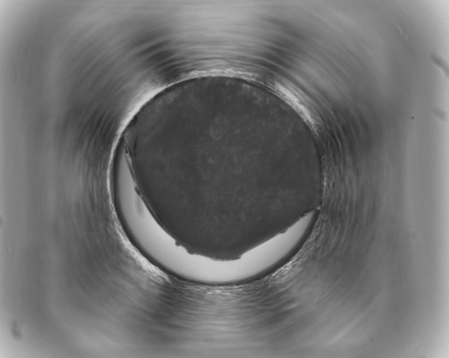 X0000094961084200712271714