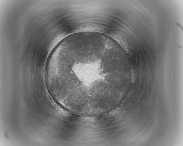 X0000094961086200712271714