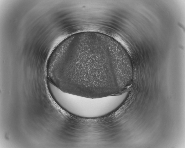 X0000094961088200712271714