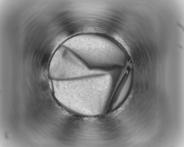X0000094961089200712271714