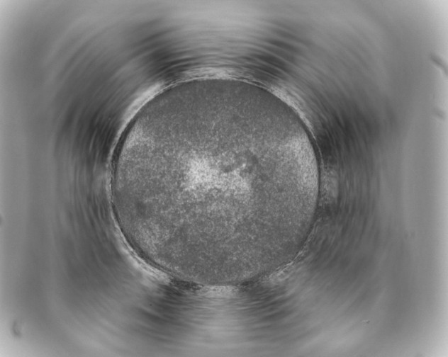X0000094961090200712271714