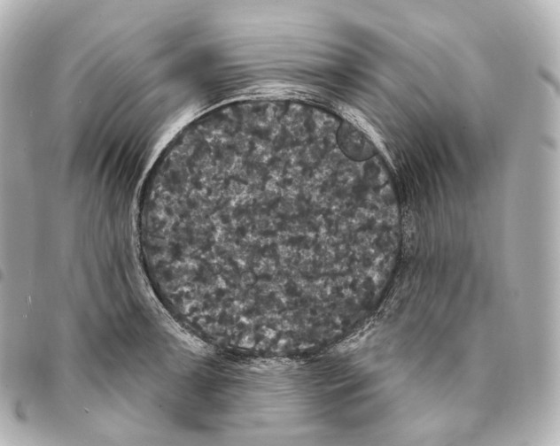 X0000094961091200712271714