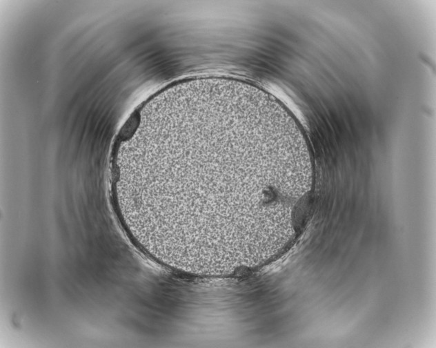 X0000094961093200712271714