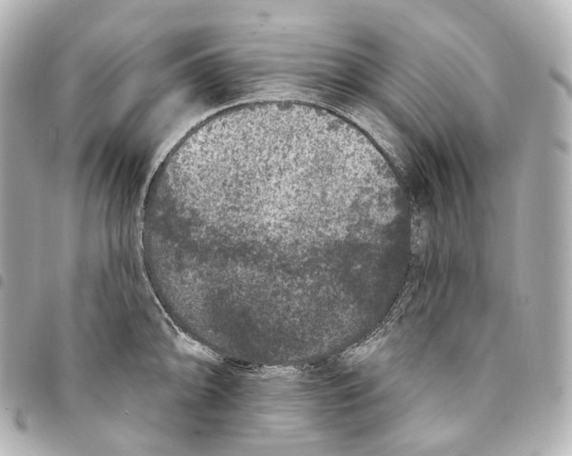 X0000094961094200712271714