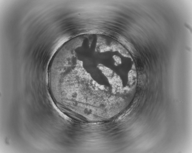 X0000094961095200712271714