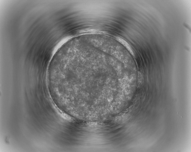 X0000094961098200712271714