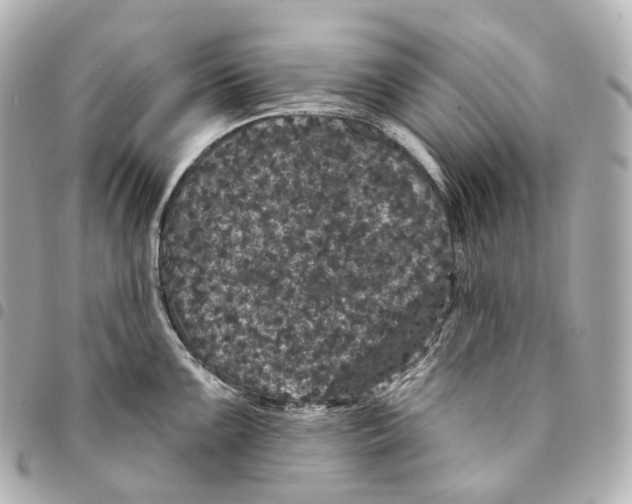 X0000094961099200712271714