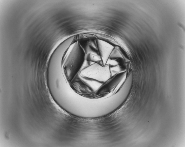 X0000094961100200712271714