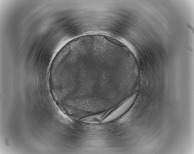 X0000094961102200712271714