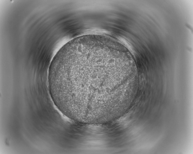 X0000094961103200712271714