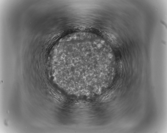 X0000094961105200712271713