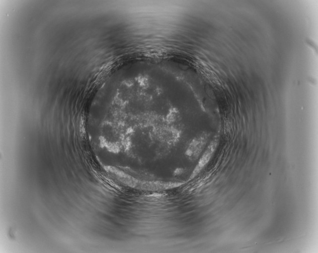 X0000094961106200712271713