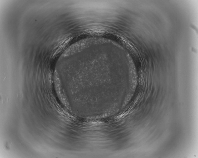 X0000094961108200712271713