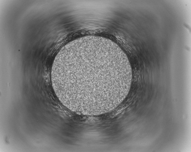 X0000094961109200712271713