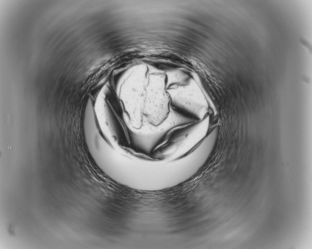 X0000094961110200712271713