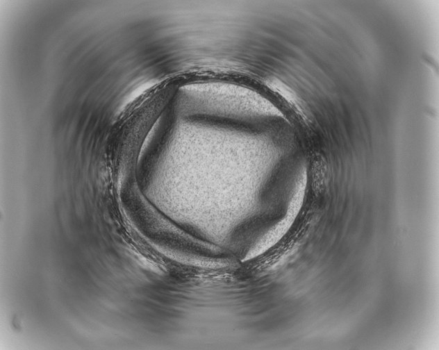 X0000094961112200712271713
