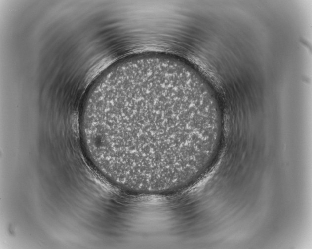 X0000094961113200712271713