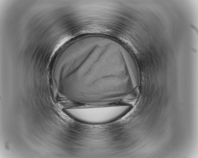 X0000094961114200712271713