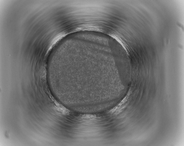X0000094961115200712271713