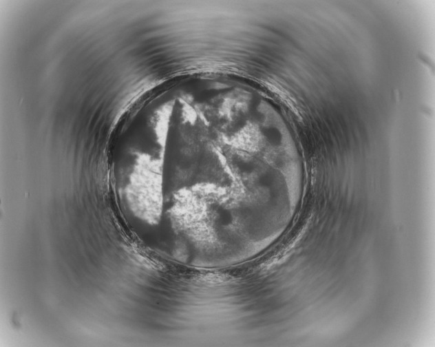 X0000094961117200712271713