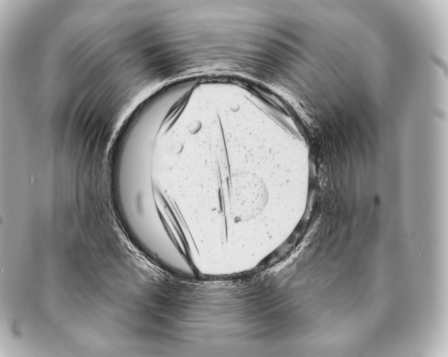 X0000094961118200712271713