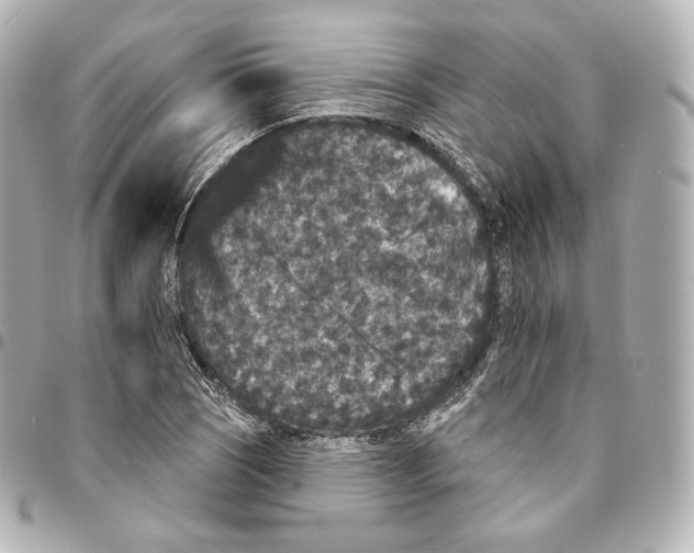X0000094961121200712271714