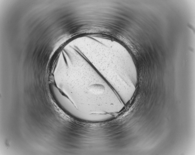 X0000094961122200712271714