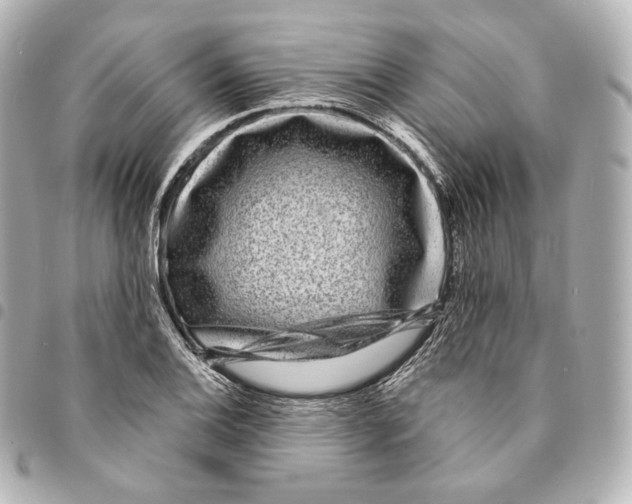 X0000094961124200712271714