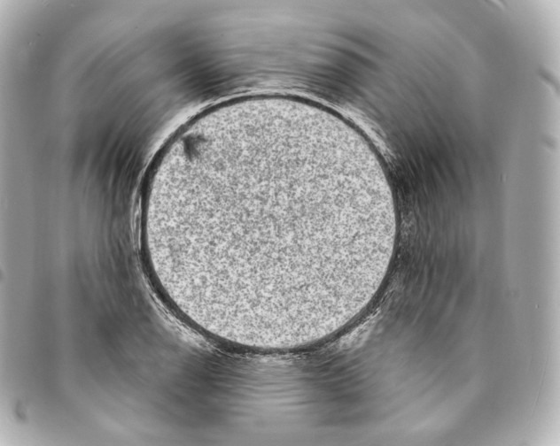 X0000094961126200712271714