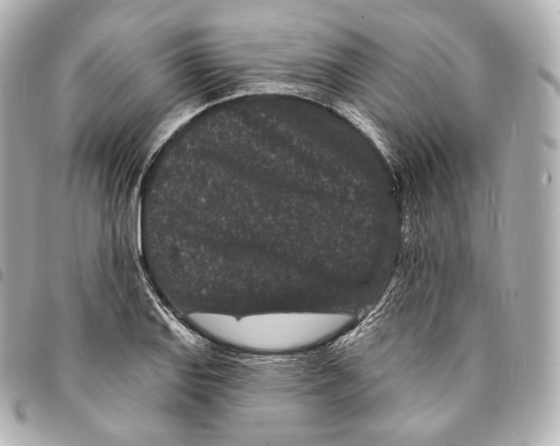 X0000094961127200712271714