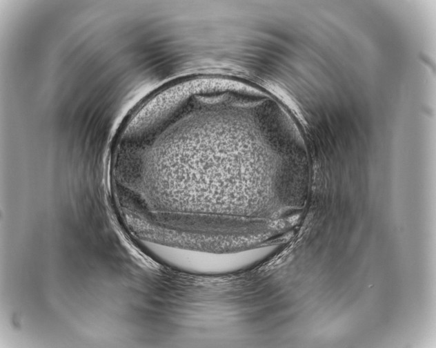 X0000094961128200712271714