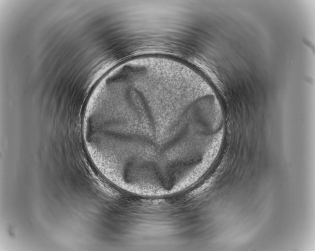X0000094961129200712271714