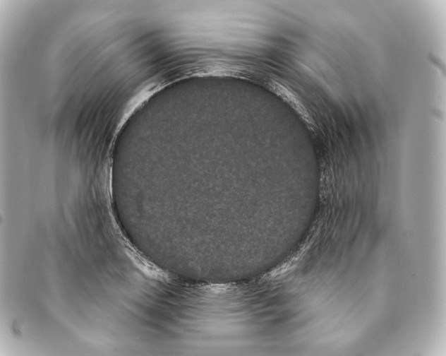 X0000094961130200712271714