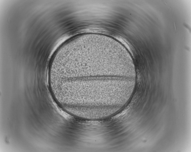 X0000094961131200712271714