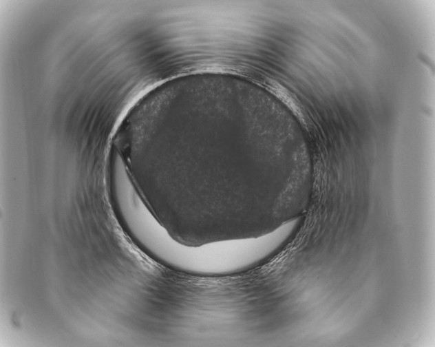 X0000094961132200712271714