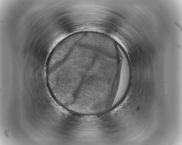 X0000094961133200712271714