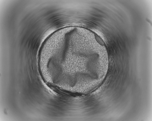X0000094961135200712271714