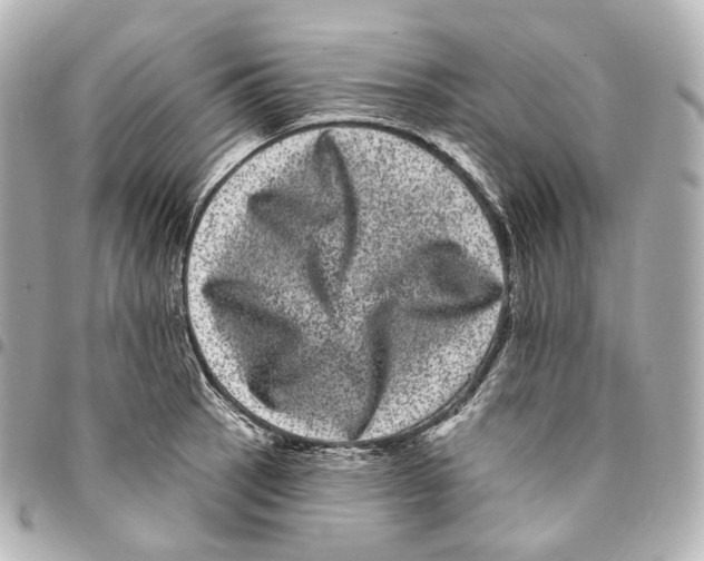 X0000094961137200712271714