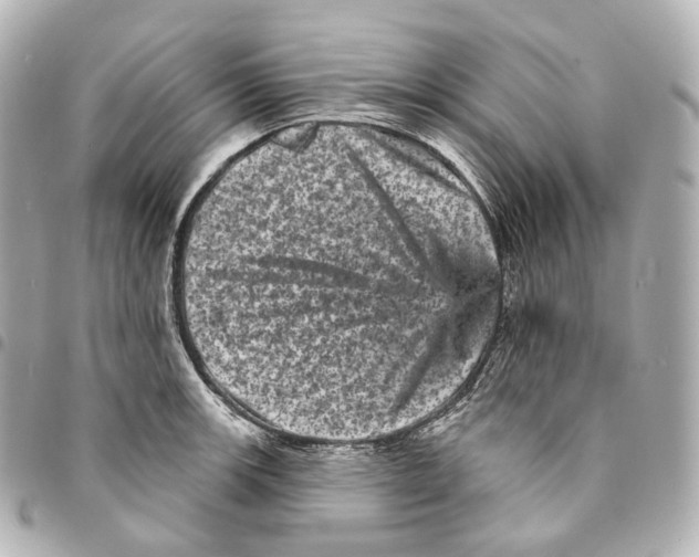 X0000094961139200712271714