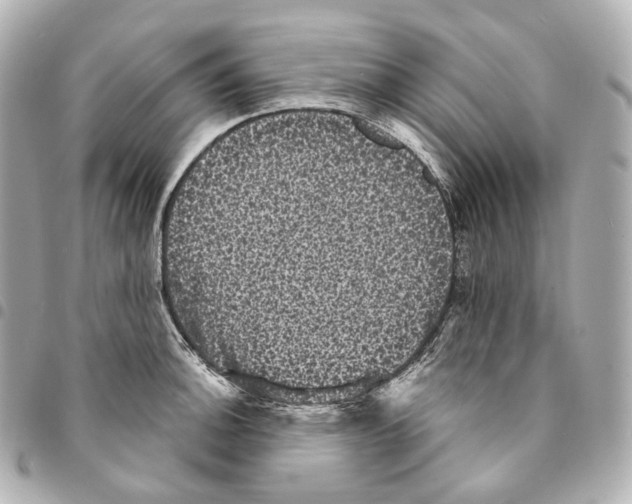 X0000094961140200712271714