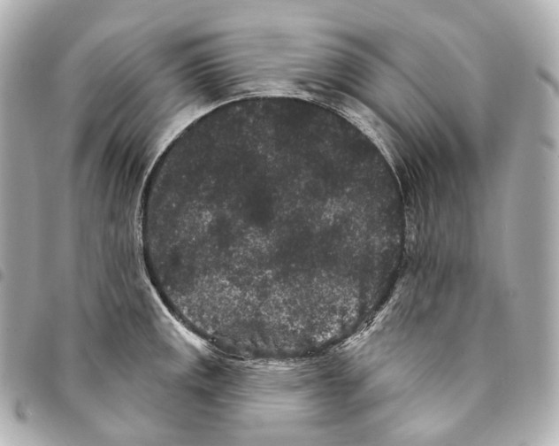 X0000094961141200712271714