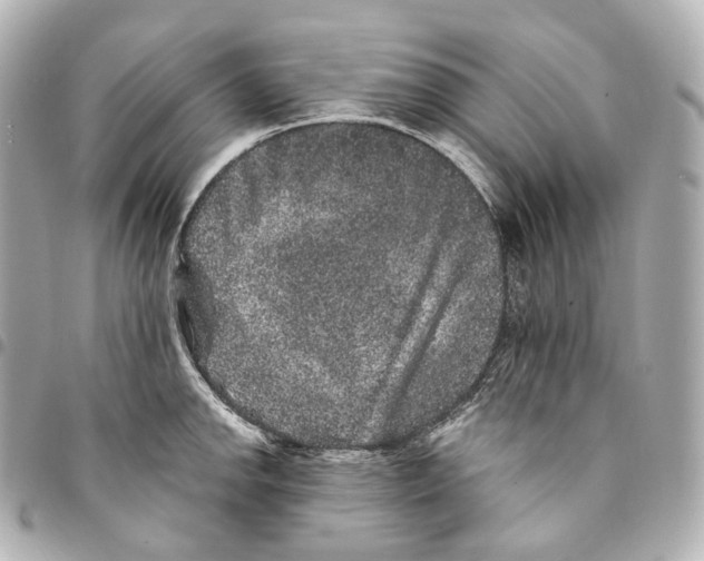 X0000094961142200712271714