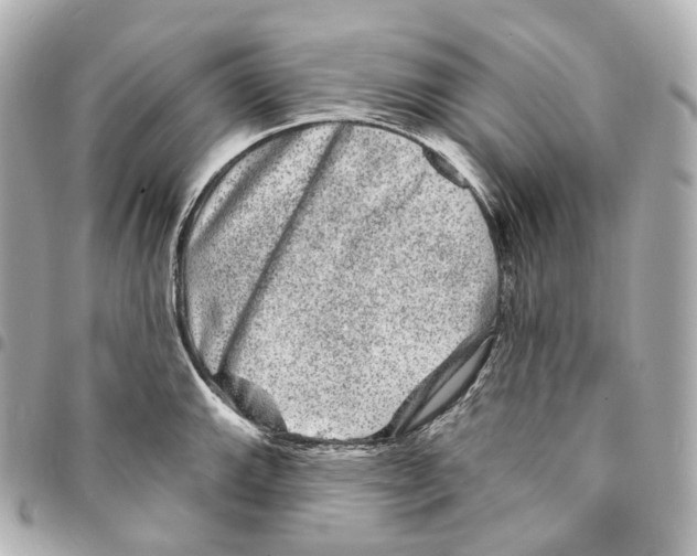 X0000094961143200712271714
