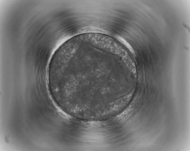 X0000094961144200712271714