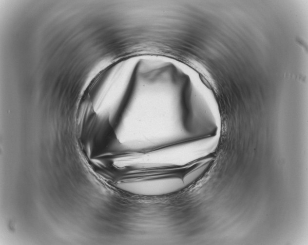 X0000094961146200712271714