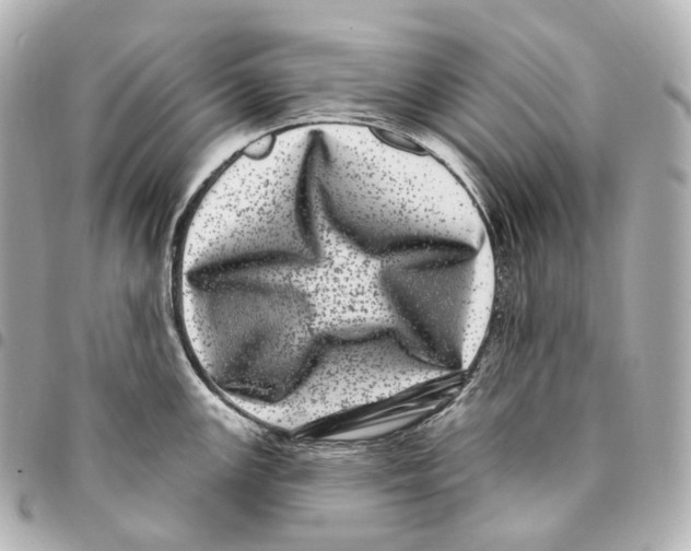 X0000094961147200712271714