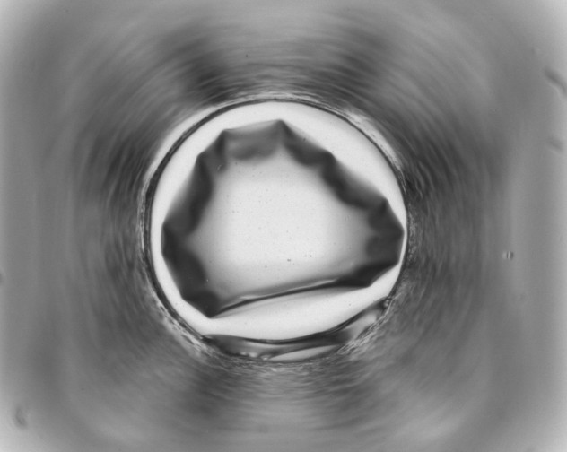 X0000094961148200712271714