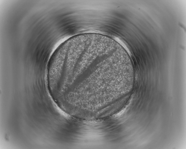X0000094961149200712271714